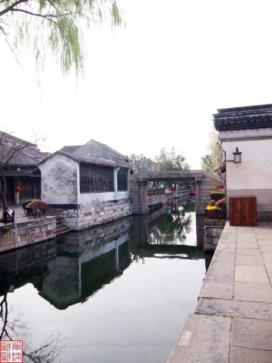 谷医堂谷方益元科普:乌鸦聚集说明要地震?